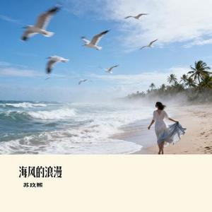 海风的浪漫