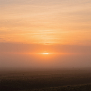 薄くなる空の下で