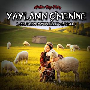 Yaylanın Çimenine | Anatolian Psychedelic 70s Rock