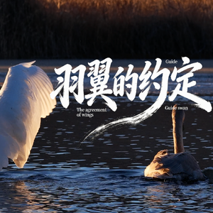 羽翼的约定【女声版】