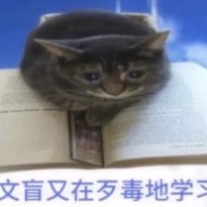 我这样的精神状态阁下该如何应对？