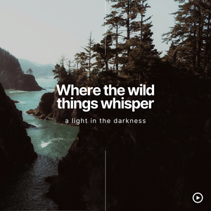 The Dragon's Call Thunder Storm