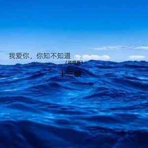 我爱你，你知不知道（说唱版）