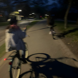 L i t t l e D a r k A g e S l o w e d