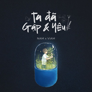 ta đã gặp và yêu