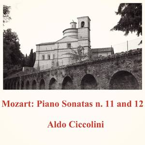 Piano Sonata No. 11 in A Major, K. 331 "Alla Turca":I. Tema con variazioni. Andante grazioso