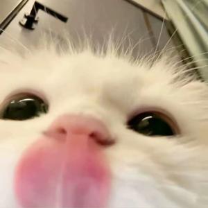 红色高跟鞋（清唱）