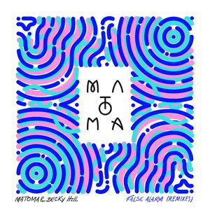 False Alarm (Hook N Sling Remix)