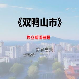 双鸭山市