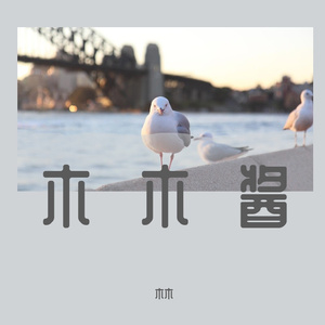 走马（cover陈粒）