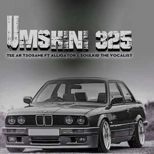 Umshini 325