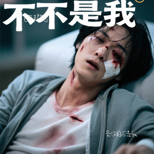 受伤的不是我