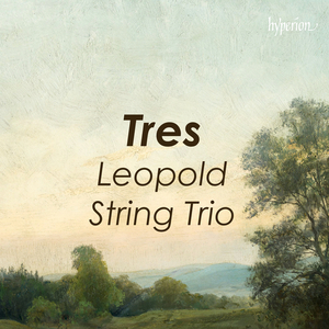 String Trio in B-Flat Major, D. 581: I. Allegro moderato