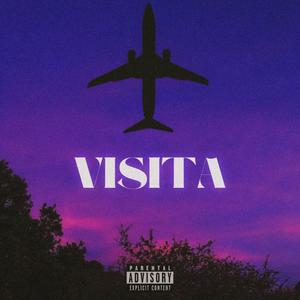 Visita