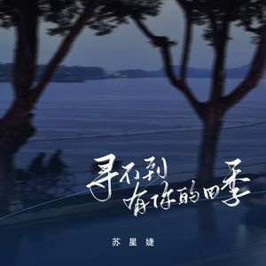 寻不到有你的四季