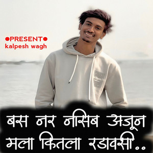 Bas Nar Naseeb Ajun Mala Kitla Radavshi