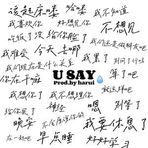 u say （prodby.harui）
