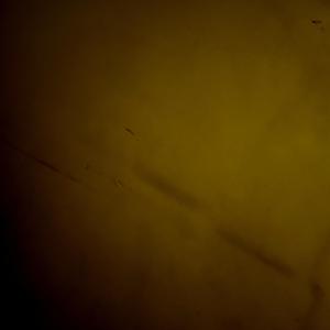 文件坏了不发浪费了drill