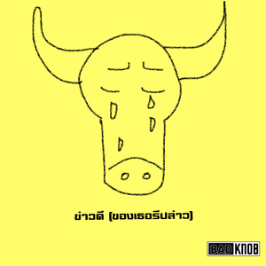 ข่าวดี (ของเธอรึปล่าว)