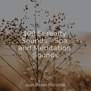 Mystic Harmonies in Flux