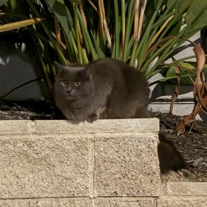 fall down (feat. warm)