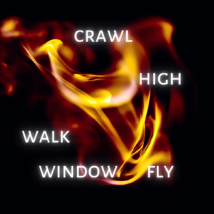 Fly Walk Crawl
