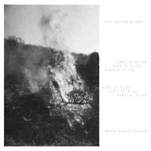 Humo de Olivo