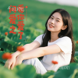 不再问爱不爱了