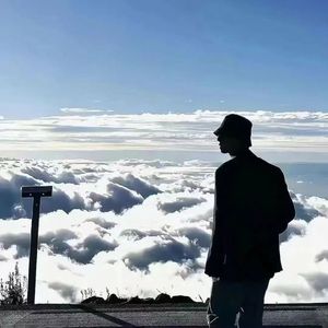 喧嚣中的宁静之光