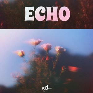 Echo
