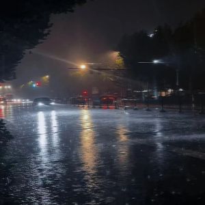 落魄时惊鸿【戏腔】