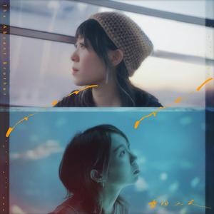 Over Over
