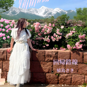 ふたりのパラレル