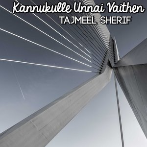 Kannukulle Unnai Vaithen