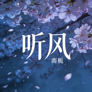 听风