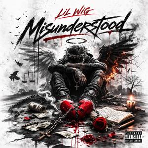 Misunderstood