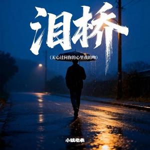 泪桥（无心过问你的心里我的吻）