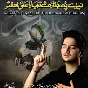 Nazay Pay Janaza Hai Tumhara Ali Asghar