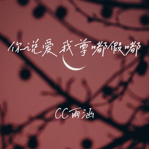 你说爱我尊嘟假嘟