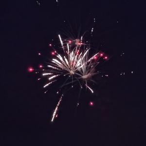 杏花落时茶香幽