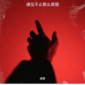 遇见不止那么美丽完整版