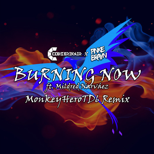 Burning Now (Remix)