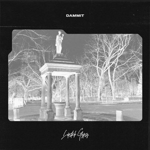 Dammit