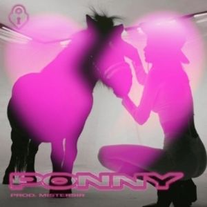 Ponny (prod.MISTERSIR)