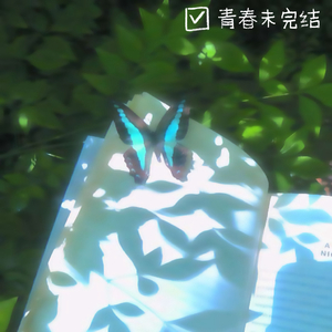 converted_未署名的夏天_小号手13584_2102315 2.wav