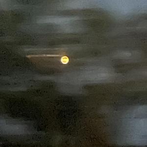 way2much (Instrumental)