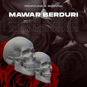 Mawar Berduri