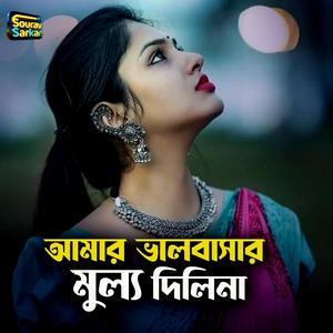 আমার ভালবাসার মুল্য দিলিনা
