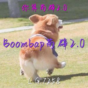Boombap 苟辟 2.0（Prod by Dummies Got Shot）