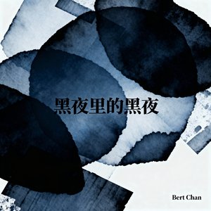 黑夜里的黑夜